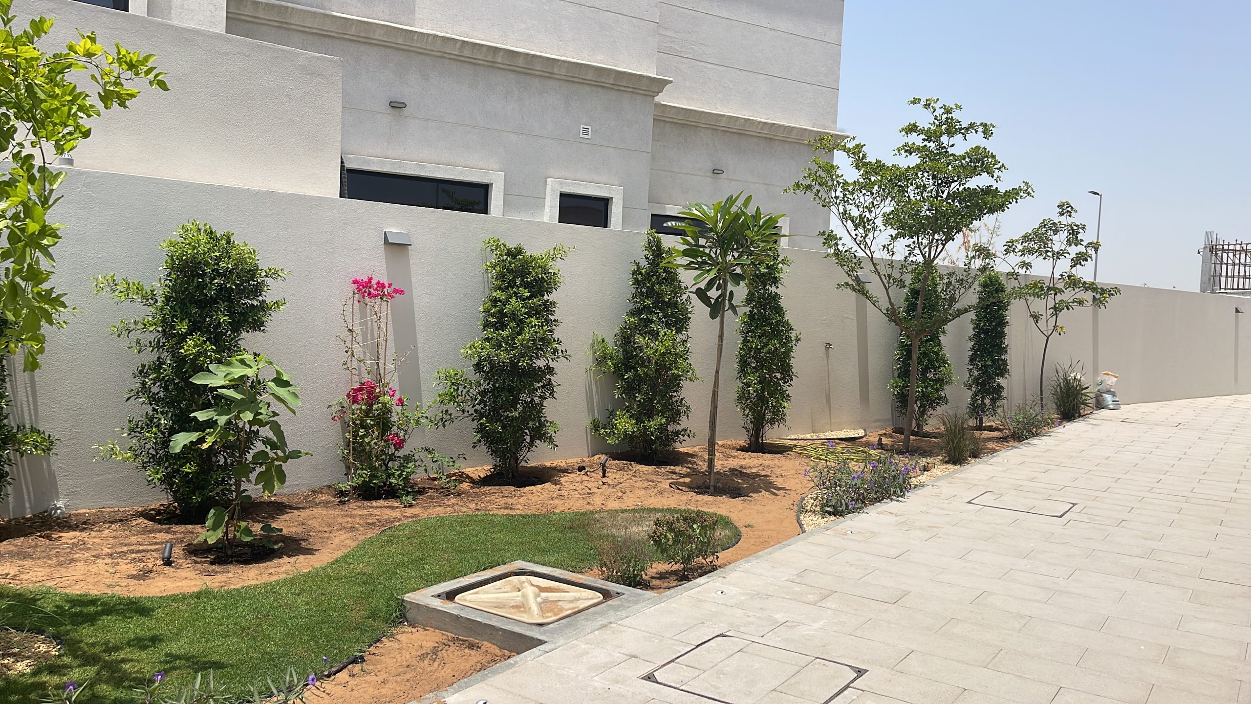 Modern luxury garden in Dubai